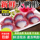 【大厂货源】新鲜鸭胗冷冻鸭肫散养大号鸭胗鸭胃卤味食材鸭胗鸭郡 净重4斤 鸭胗//鸭肫