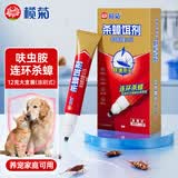 榄菊呋虫胺蟑螂药全窝端虫卵双杀涂刷式杀蟑饵剂12g厨房灭蟑螂杀虫剂