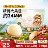 三只松鼠夏威夷果500g约24-26mm儿童每日坚果炒货休闲零食团购送礼
