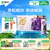 蒙牛真果粒葡萄味牛奶饮品250g*12盒  礼盒新老包装 含乳饮料送礼礼盒