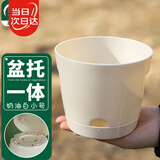 寿禾 花盆带托盘家庭园艺种菜养花盆栽工具 潍育奶油白花盆小号12.5#