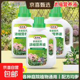 植物营养液通用型家用盆栽发财树富贵竹绿萝水培花卉绿植蔬菜肥料 通用营养液500ml×3瓶