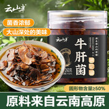 云山半油牛肝菌260g云南特产菌菇酱下饭菜酱咸菜