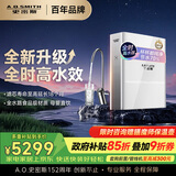 史密斯（A.O.SMITH）净水器家用净水器厨房专用台下用净水机直饮一体机 冠军之选R2000FWi-EE