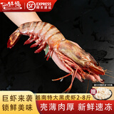 仙鲜福巨型黑虎虾超大特大号越南进口活冻虎虾大虾 海鲜礼盒年货送礼 巨型虾2头 800g(净重)  35-38cm