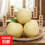 京喜加赵州皇冠梨河北皇冠梨产地直发 9-10斤装单果170g+ （净重8.2斤）