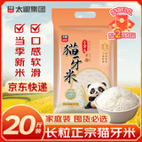 太粮猫牙米长粒米20斤籼米南方一级大米煲仔饭煮粥丝苗米当季新米囤货