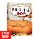 国医绝学百日通系列 —手足按摩治百病等 图解养生经典套装 中医经络穴位针灸艾灸拔罐中医养生书籍大全 黄帝内经一日通 无规格