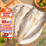 三都港非养殖南美黄鱼鲞3-6条装 免杀黄花鱼生鲜海鲜烹饪食材深海鱼新鲜 南美黄鱼鲞3条净重共1000g（一条生长4-5年）