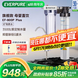 爱惠浦（Everpure） 家用矿物质厨下净水器 大流量0废水直饮 1.8L/分钟3500L处理量 EF-900P Plus