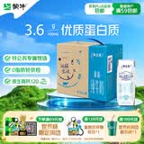 蒙牛特仑苏脱脂纯牛奶250ml*16盒 健身减脂 送礼优选礼盒装