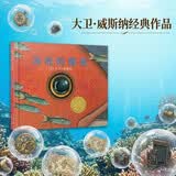 海底的秘密 2007年凯迪克金奖作品 大卫•威斯纳标志性的经典无字图画书  在故事中建构奇幻世界  融合了现实世界与超现实世界两个不同时空 非常考验每个读者的阐释能力4-12岁（启发出品）