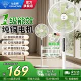 钻石牌（DIAMOND）电风扇家用落地扇摇头空气循环扇大风量电扇台式桌面小型直流风扇双滚珠轴承 语音遥控款【12档/铜芯电机/直流变频/一级能效】