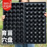 寿禾 穴盘育苗盆优质加厚多肉蔬菜种植钵 潍育育苗穴盘50孔5片