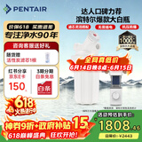 滨特尔（pentair）大白瓶前置过滤器 全屋家用自来水过滤器 前置净水器大蓝瓶 中央净水机大流量大胖瓶高精度 10寸大白瓶+前置L250