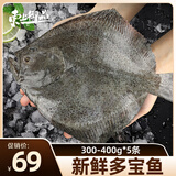 东上御品 山东 新鲜活冻多宝鱼海鲜水产多宝鱼300-400g*5条净重-源头直发