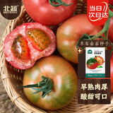 北蔬 草莓番茄种子绿腚铁皮西红柿蔬菜种籽 草莓番茄种子50粒x3包