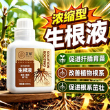 芷郁快速生根液绿植物通用扦插移栽花卉树木强力壮苗生根剂多肉生根粉