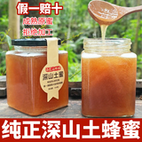 纯正深山土蜂蜜农家自产原蜜正宗孕妇冬蜜广东百花蜜原生态未加工 深山土蜂蜜 500g*1瓶