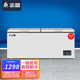 志高（CHIGO）冰柜家用大容量冷冻急冻商用冷柜中小型一级节能省电速冻冷冻柜 【一级节能 强力冷冻】 618L
