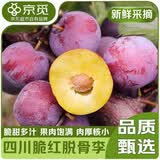 京觅四川小脆红脱骨李3斤净重单果15g+茵红李红脆李子水果源头直发