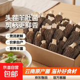 云南特产羊肚菌干货滋补牛肚菌菇煲汤食材农家香菇家用佳品 【头茬剪柄4-6cm】10克