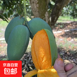 【东东农场专供】甜心芒新鲜采摘核薄多汁金煌芒源头直发 【甜心芒带箱5斤】单果100-300克｜新鲜超甜爆汁