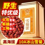福东海10A野生昆仑雪菊胎菊200克 正宗【特优级新疆】天山雪菊花茶