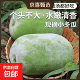 河南小冬瓜 新鲜现摘 迷你水果冬瓜带箱 火锅煲汤炒菜 带箱 9斤