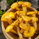 星云湖【顺丰航空】云南野生菌见手青牛肝菌干巴菌鸡枞菌火锅煲汤食材 野生鸡油菌 1斤
