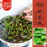 寿禾 碗莲种子苗水培土培荷花已开口花卉种籽 开口碗莲种子15粒