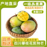 京鲜生攀枝花凯特芒果 净重8斤 单果400g+ 生鲜水果源头直发