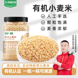 九月的诗有机小麦仁2斤东北五谷杂粮粥米饭搭档小麦米全谷物大米伴侣粗粮