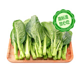 【安心菜】供港基地菜心苗250g(长度≤20cm)