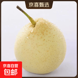 赵州水晶鸭梨新鲜水果产地直发【五】单果180g 带箱2.5斤装（净重2.1-2.2斤）