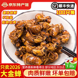 汇尔康2026新鲜知了猴金蝉爬叉100只生鲜知了龟唐僧肉速冻 【甄选大号】知了猴100只