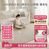 东升100%新西兰羊毛无胶水无甲醛抗菌防螨客厅卧室环保地毯可定制尺寸 边城 3.4m*2.4m 1件