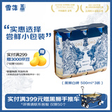 黑狮啤酒【雪花旗下高端品牌】白啤 500ml*3听 尝鲜小包装 端午送礼