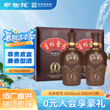 榆树钱 吉林一号50.8度 兼香型白酒 吉林省高端酒吉林壹号送礼 50.8度 500mL 2瓶 【下单实发2瓶】