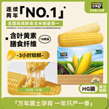 北纬47度杂粮礼盒4斤 东北黄糯玉米5根+白糯玉米5根 送礼送长辈 真空保鲜