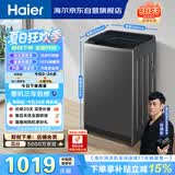 海尔（Haier）全自动波轮洗衣机 12KG大容量 除菌螨 家用宿舍 家电国家补贴以旧换新京东自营 XQB120-Z10D0
