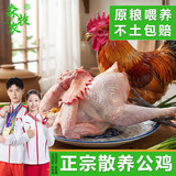 森牧农老麻鸭老母鸡土鸽子炖汤配料包人参包 1年大公鸡3斤+3年老母鸡3斤（共6斤）