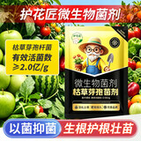 护花匠通用型枯草芽孢杆菌农用兰花杀菌专用肥生根壮苗微生物菌肥 500克
