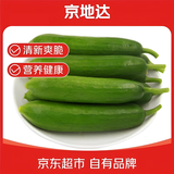 京地达山东荷兰水果黄瓜净重5斤单果50g+新鲜脆嫩源头直发包邮