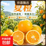 纽荷尔脐橙夏橙新鲜采摘水果 【全家爱吃】带箱10斤 小果65mm+普箱