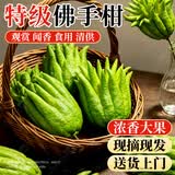 爱优尚佛手柑鲜果水培植物闻香观赏摆件香薰云南天然水养香橼源头直发