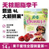 溜溜梅无核李干108g 即食果脯果肉厚实酸甜高膳食纤维休闲零食