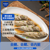 鲜到鲜得 三去小黄鱼1200g 黄花鱼 生鲜鱼类 烧烤食材 中秋海鲜 源头直发