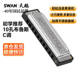 天鹅（SWAN） 10孔C调布鲁斯口琴初学者入门学生成人专业教学款口琴银色