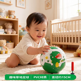 哈哈球儿童玩具球足球2号1-3岁婴儿宝宝幼儿感统拍拍小皮球恐龙绿